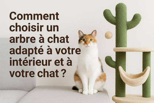 Comment choisir un arbre à chat adapté à votre intérieur et à votre chat ? - Mon Chat Perché