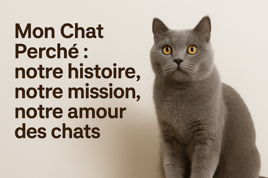 Mon Chat Perché : notre histoire, notre mission, notre amour des chats - Mon Chat Perché