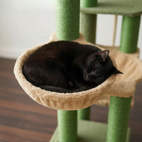 Arbre à Chat Maine Coon Adulte XXL Grande Largeur