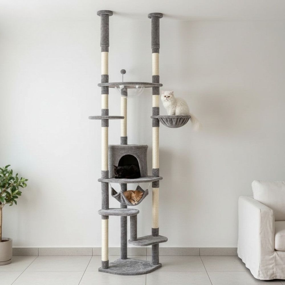 Arbre à Chat Fixation Plafond Réglable 258cm