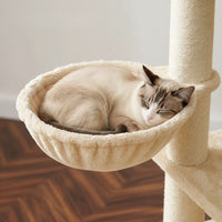 Arbre à Chat Solide pour Maine Coon Grande Surface 170cm