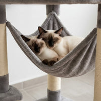 Arbre à Chat Fixation Plafond Réglable 258cm