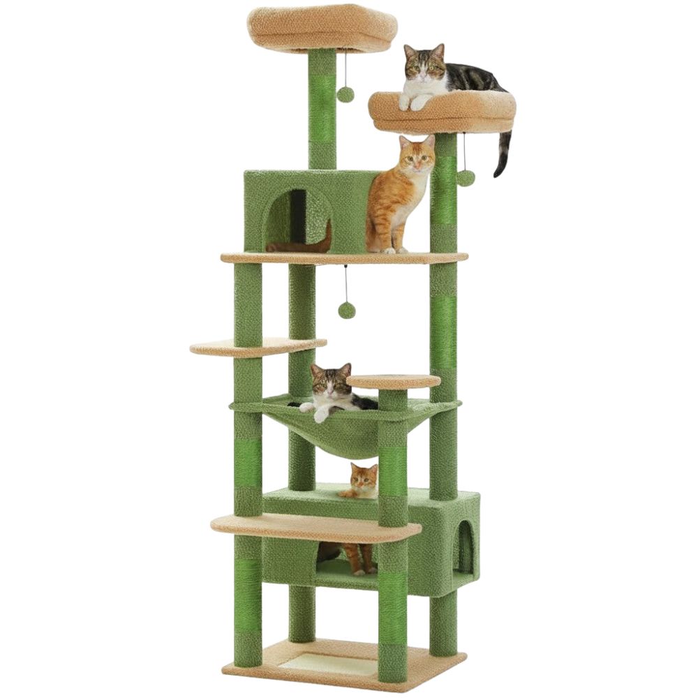 Grand Arbre à Chat pour Maine Coon 205cm