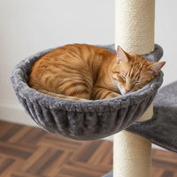 Arbre à Chat Rose Pâle Grande Hauteur Poudré 170cm