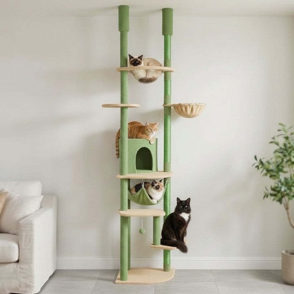 Arbre à Chat Plancher au Plafond Multi-Teintes 258cm
