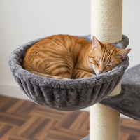 Arbre à Chat Maine Coon Adulte XXL Grande Largeur