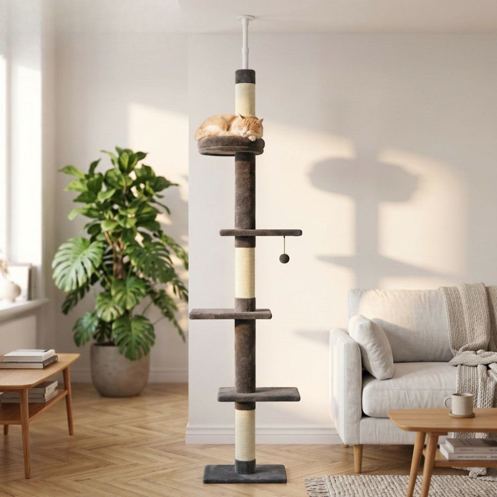 Arbre à Chat à Fixer au Plafond Réglable 273cm