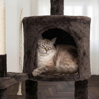 Arbre à Chat au Design Contemporain Épuré 112cm