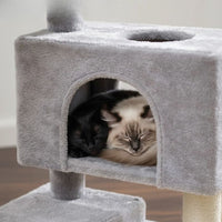Arbre à Chat avec Cabane Maison Petit Espace 80cm