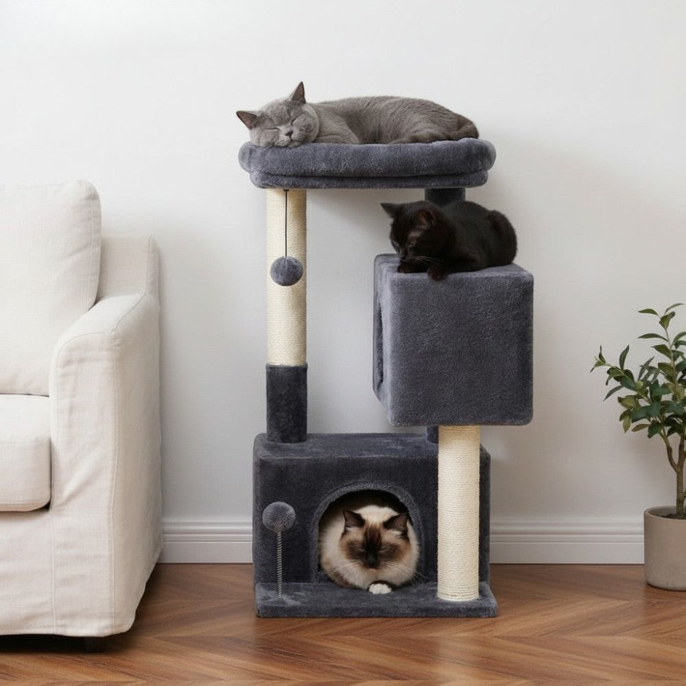 Arbre à Chat avec Cabane Maison Petit Espace 80cm
