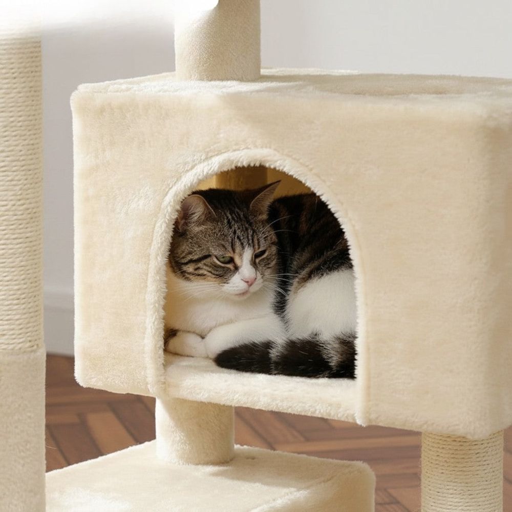 Arbre à Chat avec Cabane Maison Petit Espace 80cm