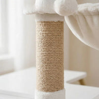 Arbre à Chat avec Caisse en Bois Massif 120cm