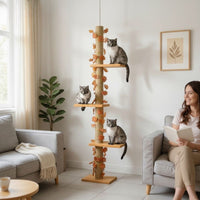 Arbre à Chat Barre Horizontale Fixation Plafond