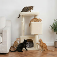 Arbre à Chat Beige Format Compact Économique 80cm