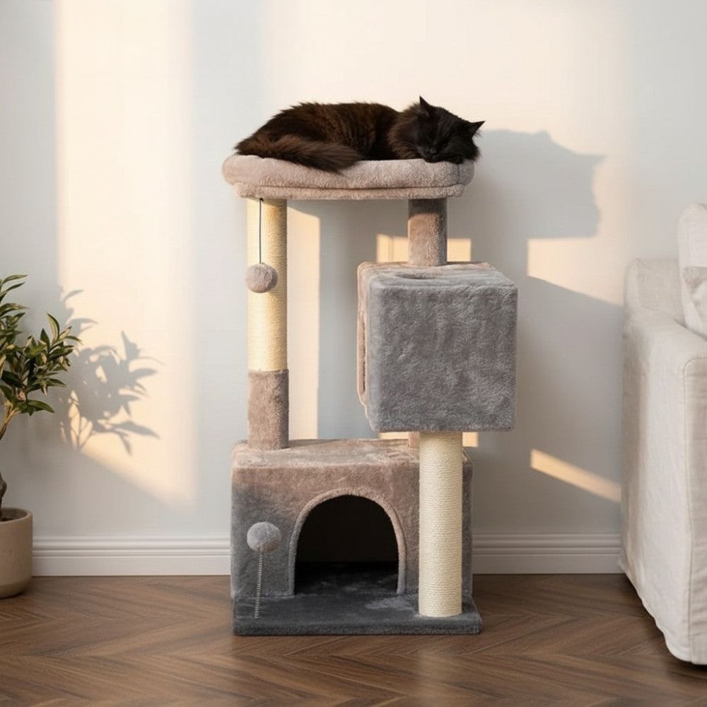 Arbre à Chat Beige Format Compact Économique 80cm