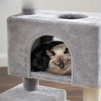 Arbre à Chat Beige Format Compact Économique 80cm