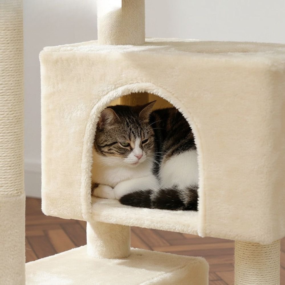 Arbre à Chat Beige Format Compact Économique 80cm