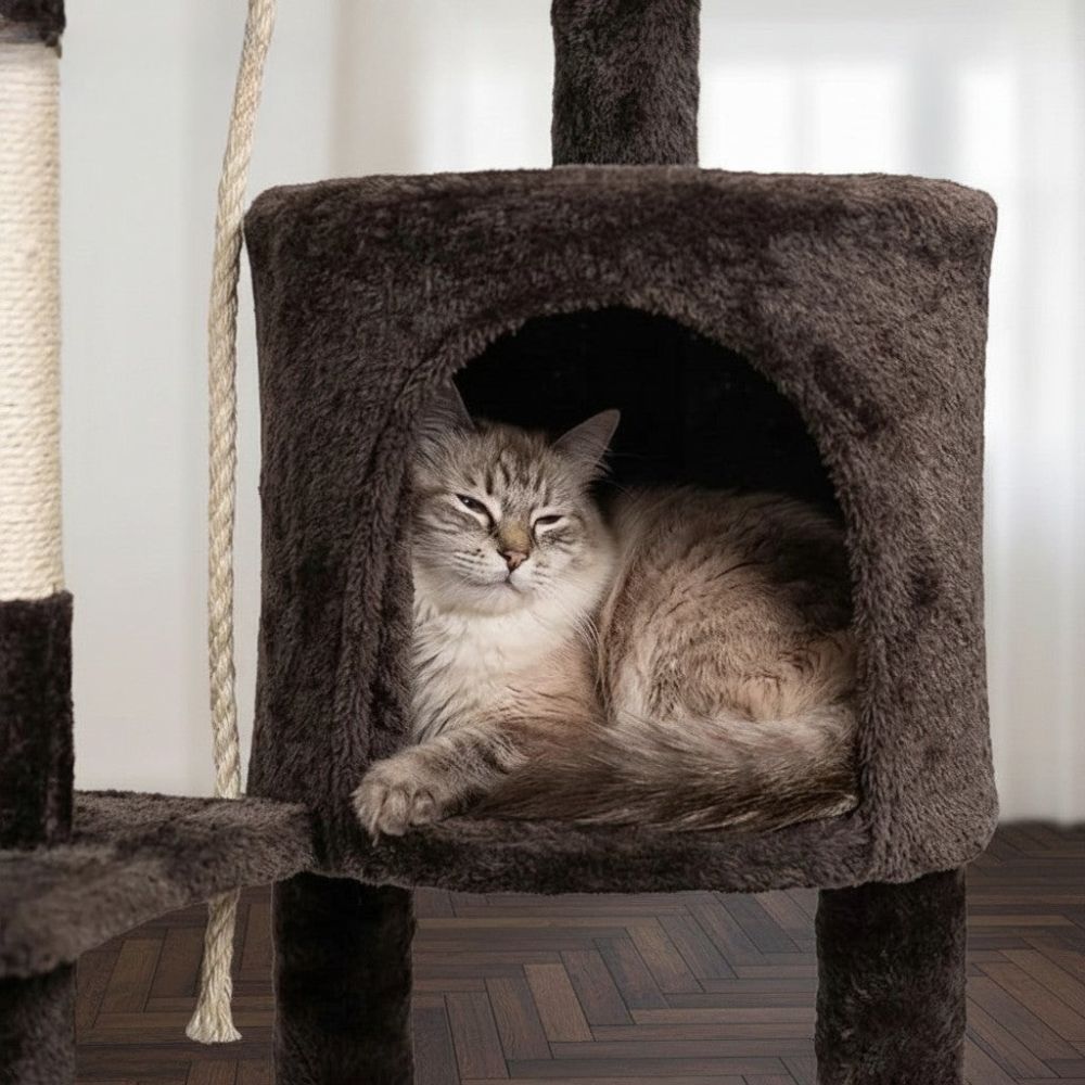 Arbre à Chat Bicolore Beige et Marron 112cm