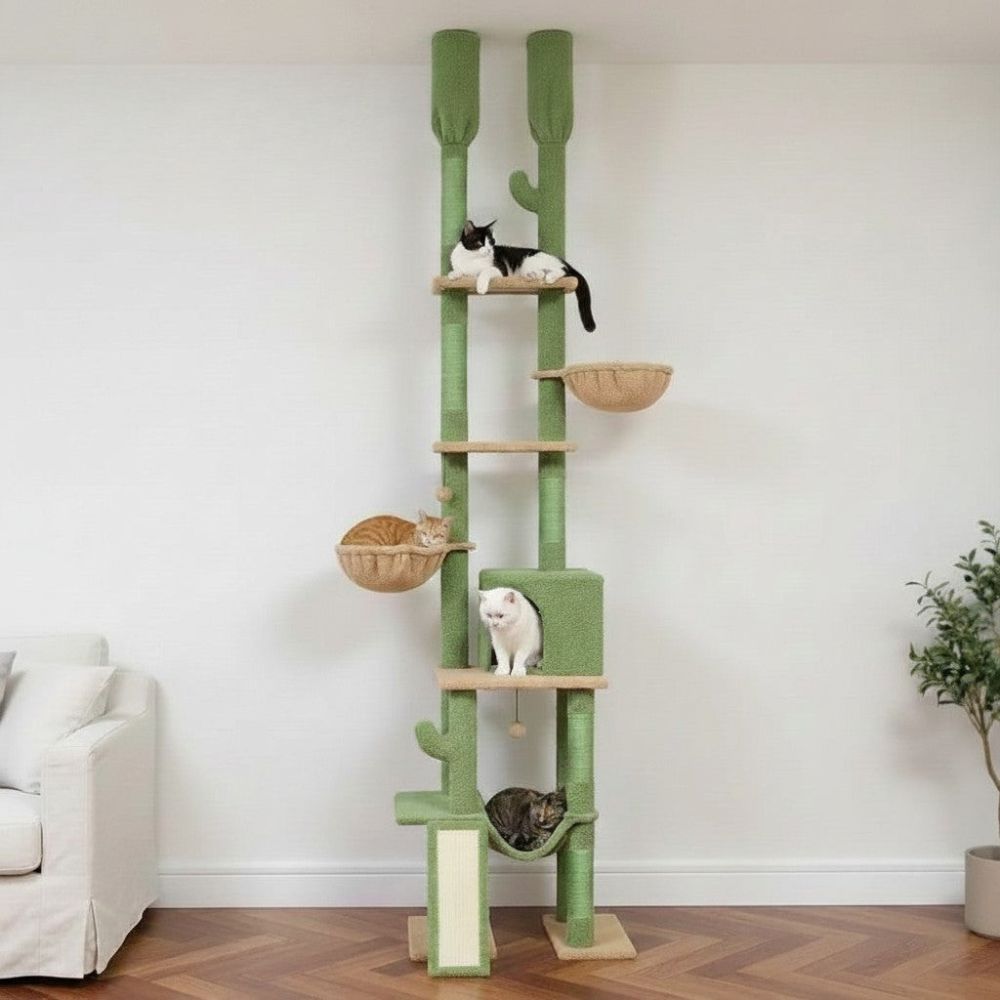 Arbre à Chat Cactus à Fixation Sol-Plafond Réglable