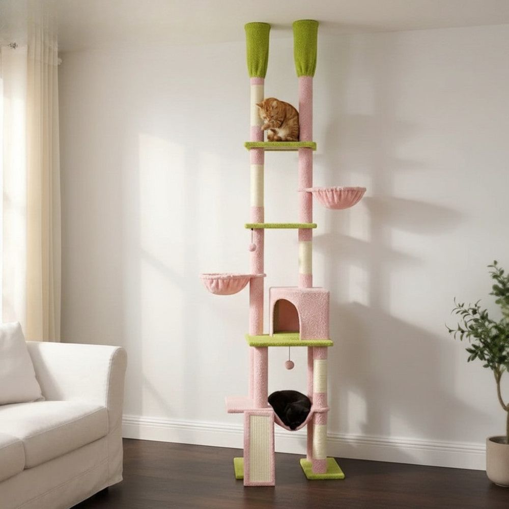 Arbre à Chat Cactus à Fixation Sol-Plafond Réglable