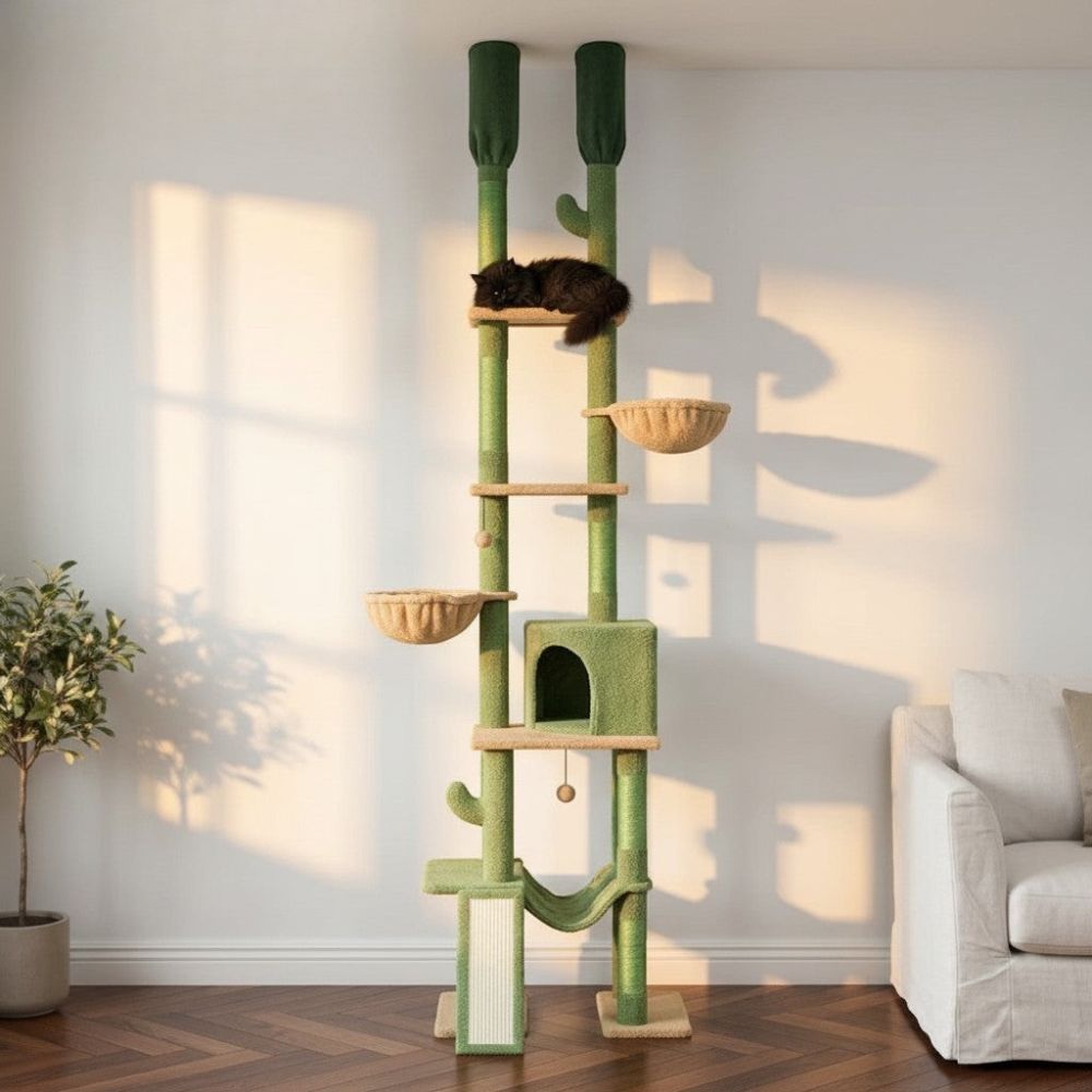 Arbre à Chat Cactus à Fixation Sol-Plafond Réglable