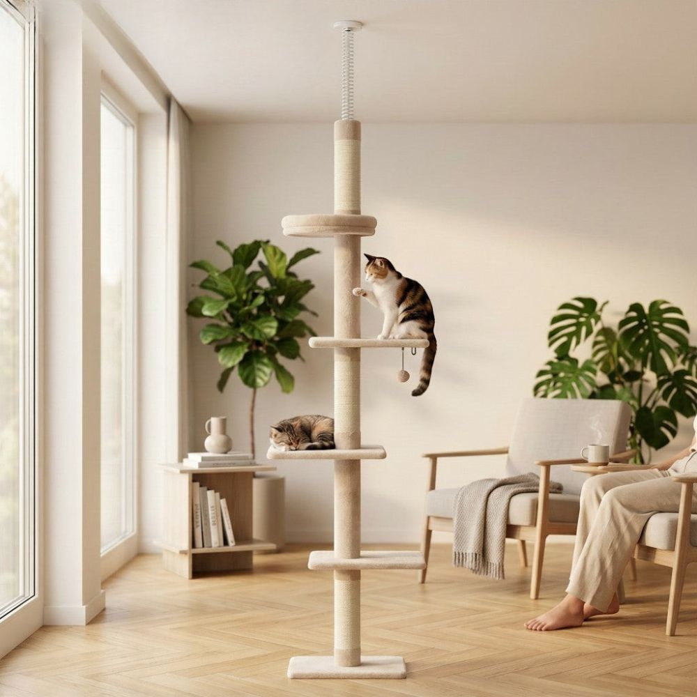 Arbre à Chat Colonne à Fixation Plafond Réglable 273cm