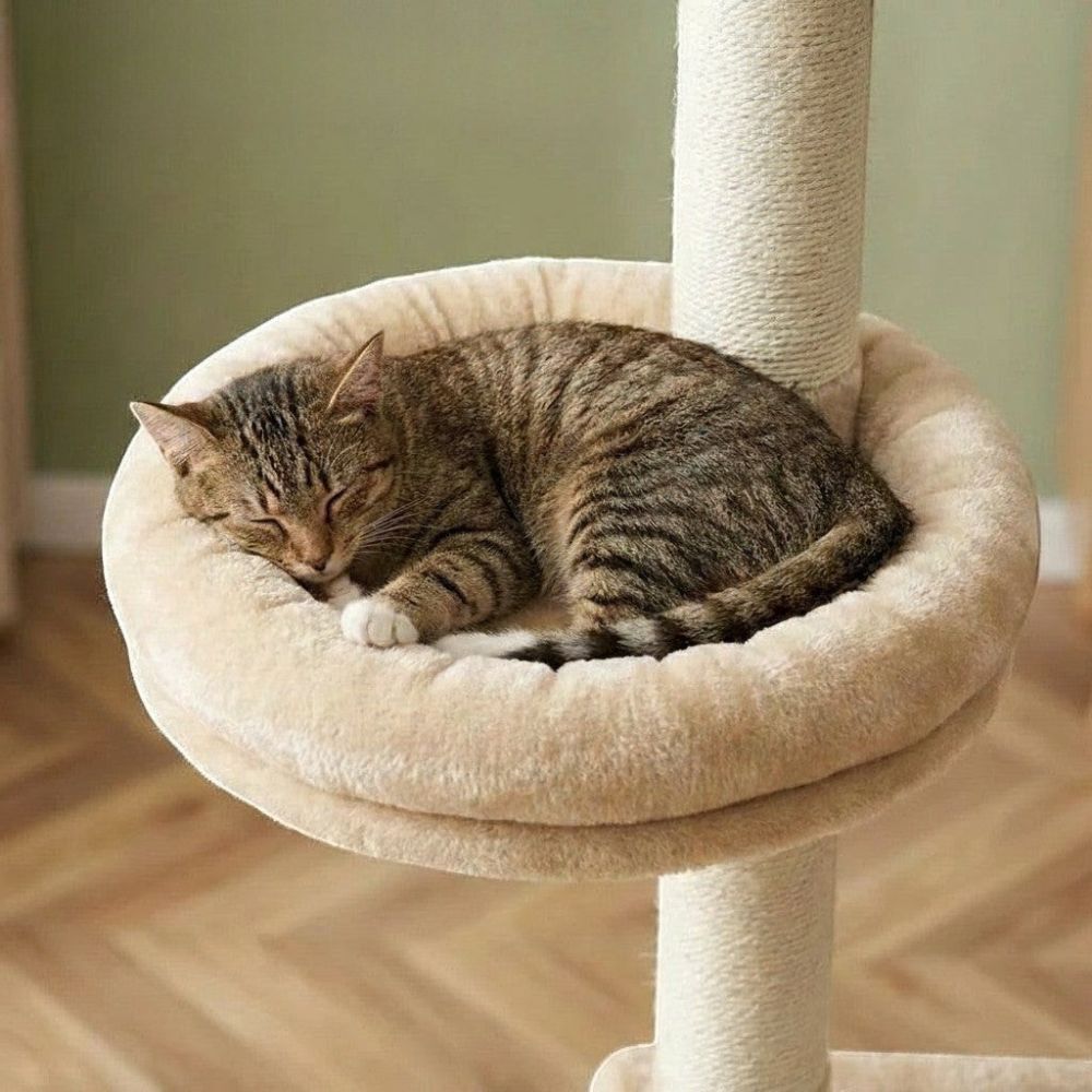 Arbre à Chat Colonne à Fixation Plafond Réglable 273cm