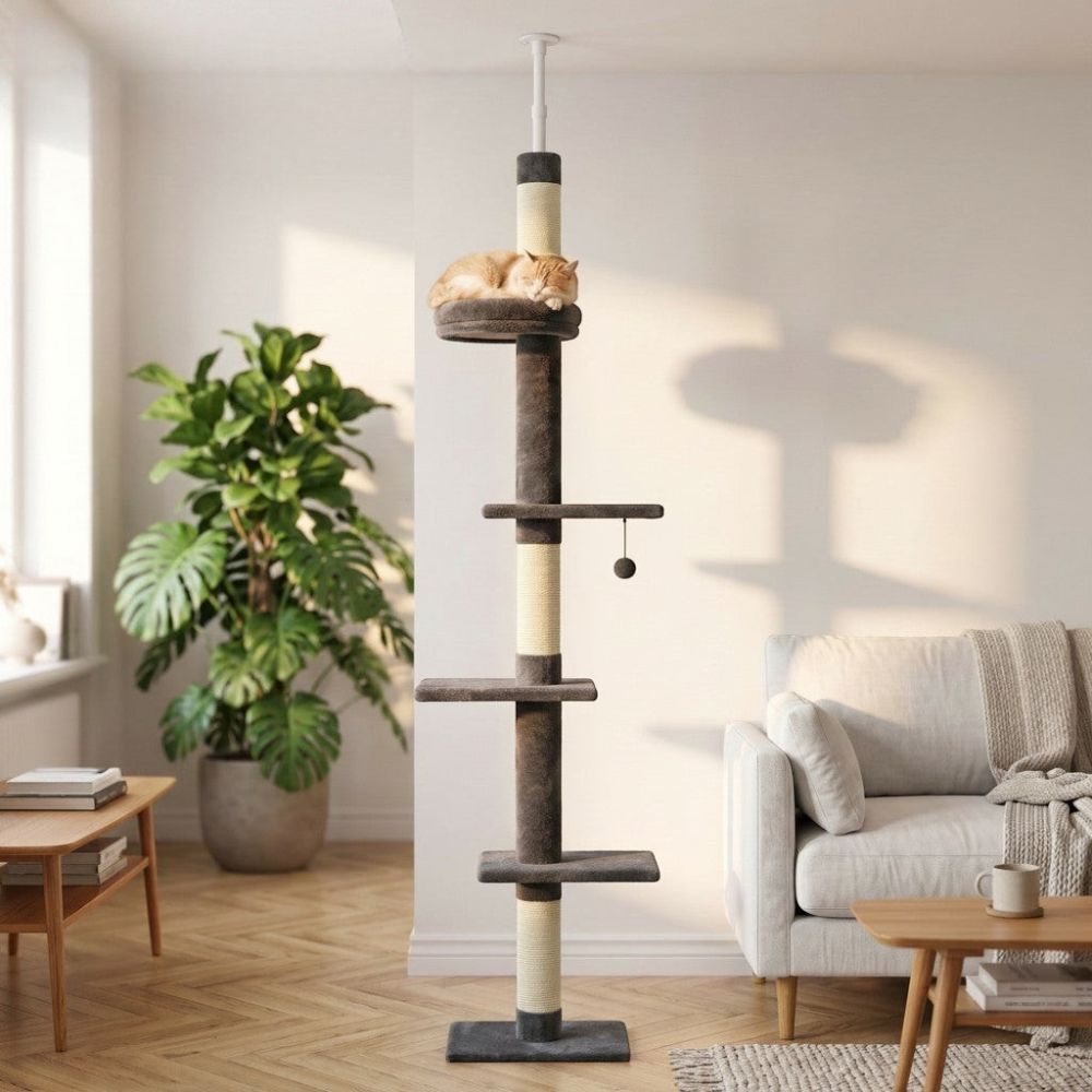 Arbre à Chat Colonne à Fixation Plafond Réglable 273cm