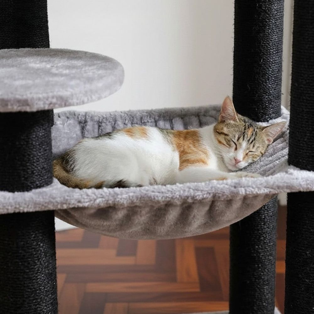 Arbre à Chat d'Angle XXL pour Grand Espace 147cm
