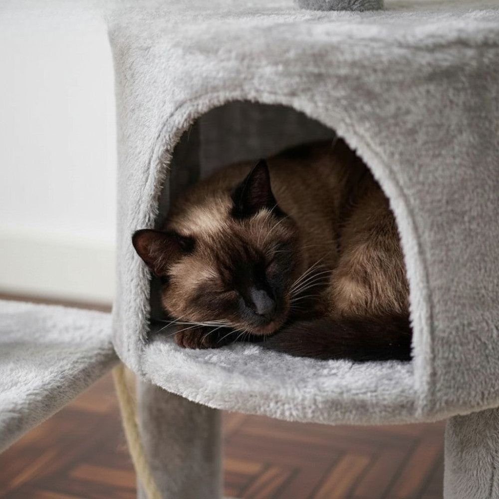 Arbre à Chat Design Accessible et Moderne 112cm