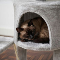 Arbre à Chat Design Accessible et Moderne 112cm