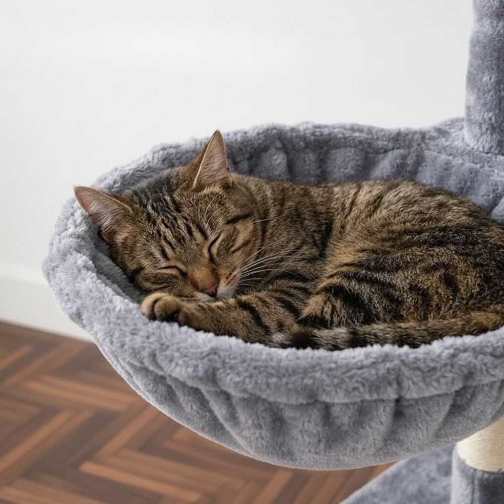 Arbre à Chat Design Décoratif Gris 140cm