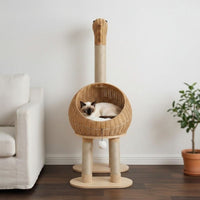 Arbre à Chat Design en Bois Massif 116cm