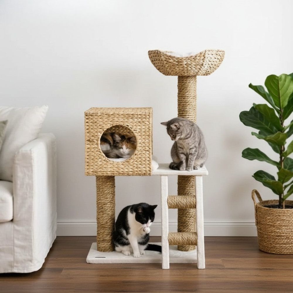 Arbre à Chat Design en Osier Tressé 100cm