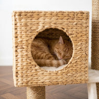 Arbre à Chat Design en Osier Tressé 100cm