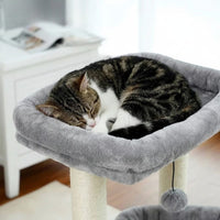 Arbre à Chat Design Gris Ultra Compact 60cm