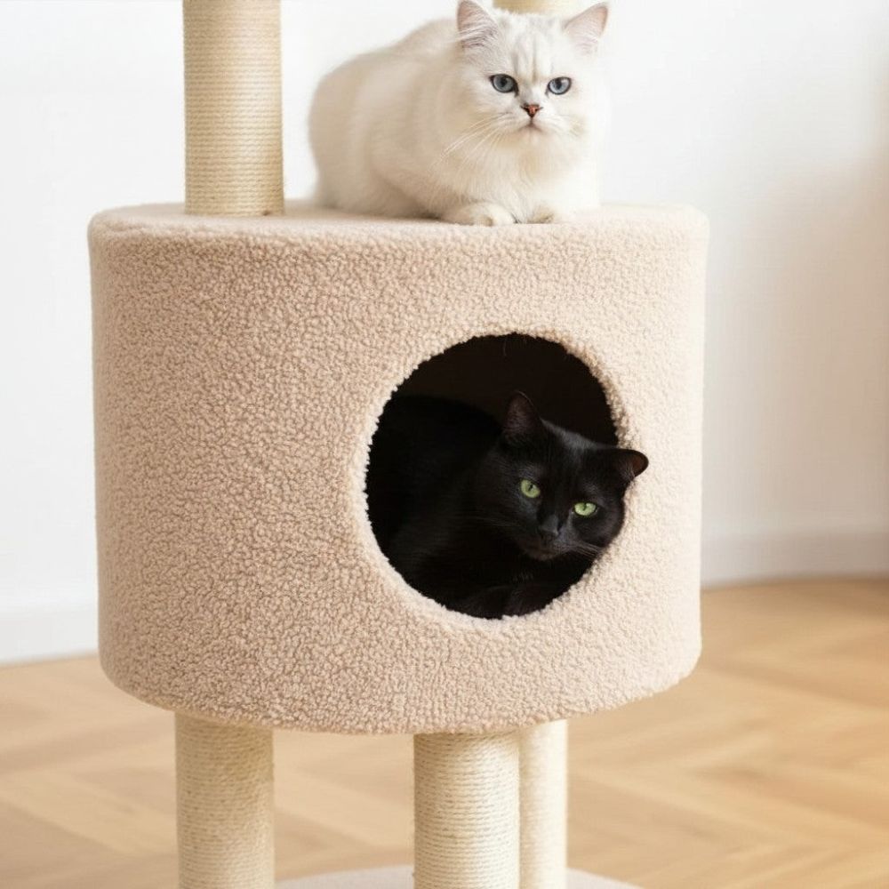 Arbre à Chat Design Scandinave Grande Hauteur 150cm