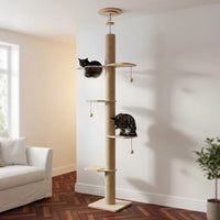 Arbre à Chat du Sol au Plafond Sans Perçage 260cm