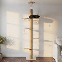 Arbre à Chat du Sol au Plafond Sans Perçage 260cm