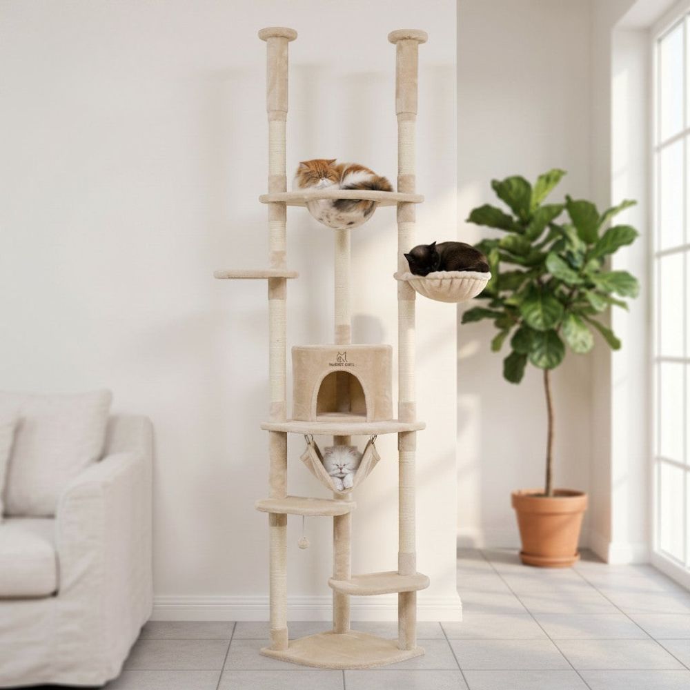 Arbre à Chat Fixation Plafond Réglable 258cm