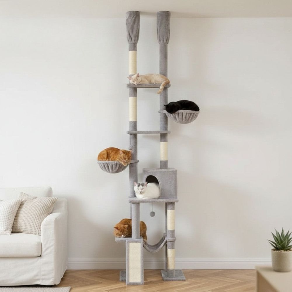 Arbre à Chat Hauteur Maximale Plafond 285cm