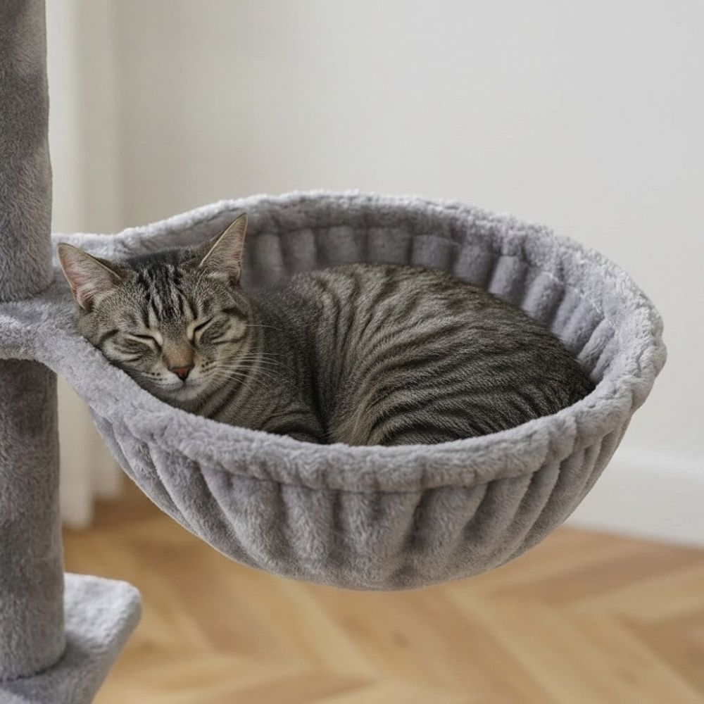 Arbre à Chat Hauteur Maximale Plafond 285cm