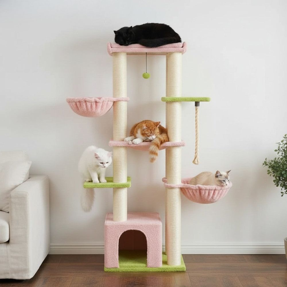 Arbre à Chat Maine Coon Adulte XXL Grande Largeur