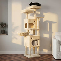 Arbre à Chat Maine Coon Beige Poteaux Renforcés 160cm