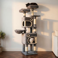 Arbre à Chat Maine Coon Beige Poteaux Renforcés 160cm