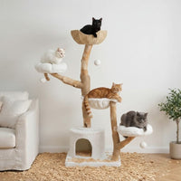 Arbre à Chat Maine Coon Bois Flotté Authentique 150cm