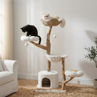 Arbre à Chat Maine Coon Bois Flotté Authentique 150cm