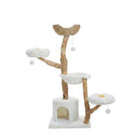 Arbre à Chat Maine Coon Bois Flotté Authentique 150cm