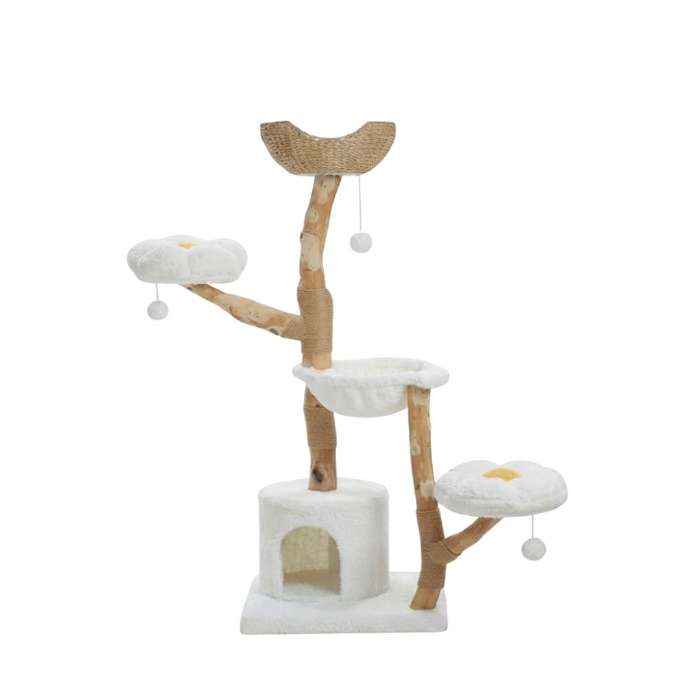 Arbre à Chat Maine Coon Bois Flotté Authentique 150cm