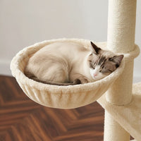 Arbre à Chat Maine Coon Grande Taille Généreuse 170cm